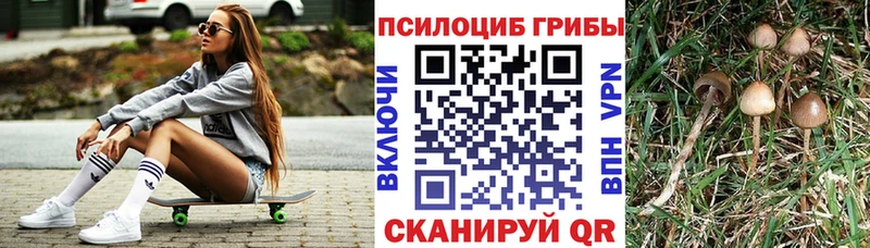 hydra вход Кемь Псилоцибиновые грибы Cubensis продажа наркотиков