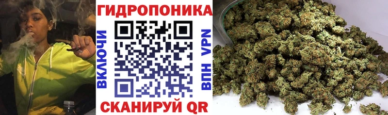 Бошки марихуана AK-47 Кемь